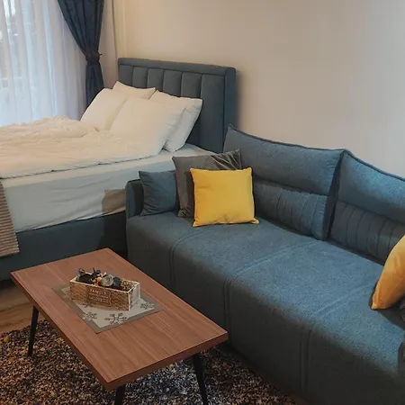 12 Apartament Kopaonik